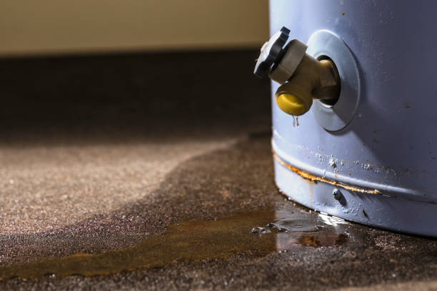 Reliable MA Water damage restoration Solutions