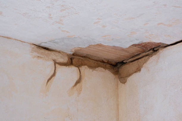 Water damage restoration experts in MA