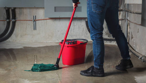 Best Residential water damage restoration  in Watertown Town, MA