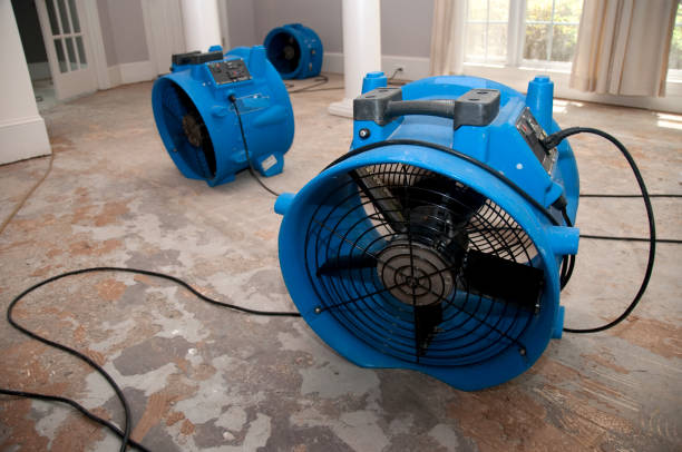 Best Water damage restoration insurance claims  in Watertown Town, MA