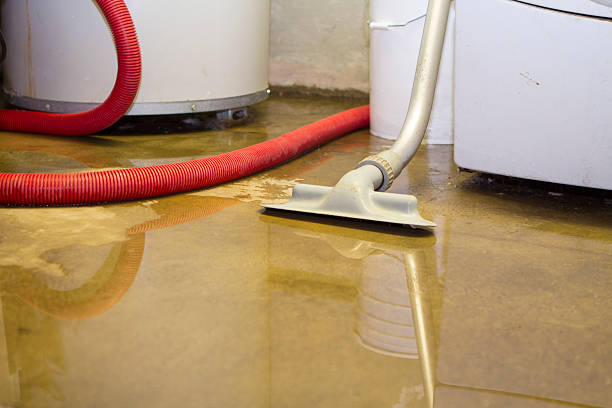 Best Flood restoration services  in Watertown Town, MA