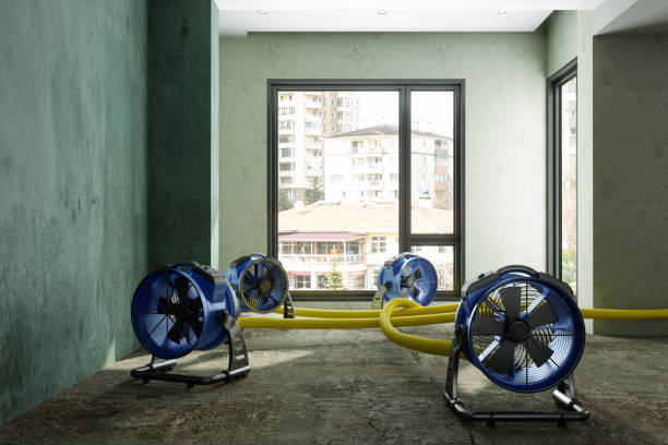 Best 24-hour water damage restoration  in Watertown Town, MA