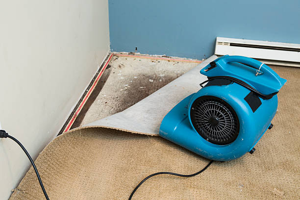 Best Fire Damage Restoration  in Watertown Town, MA